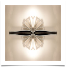 Reflections - James Leslie